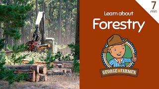 Forestry with George the Farmer