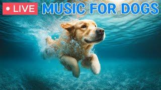  24 Hours of Dog TVCalming Music for Dogs🩷Dog Separation Anxiety Relief and Stress Relief Music