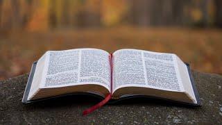 London Life Vineyard Church Online - The Kingdom of God Wk 6