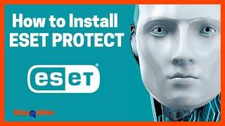 Install and configure ESET PROTECT