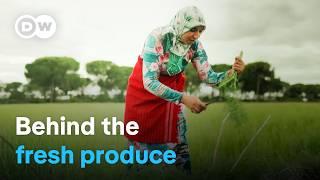 Picking for Europe: The harsh realities of migrant farm workers | DW Documentary