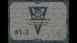 TESIII Bloodmoon #1-3 Воздушное судно