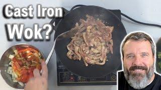 Cast Iron Wok on a DUXTOP 1800W Induction Cooktop  Performance Review Teach a Man to Fish