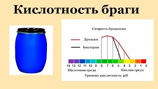 Кислотность браги.