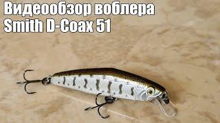 Видеообзор воблера Smith D-Coax 51 с Fmagazin