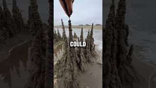 @FactCast #shorts