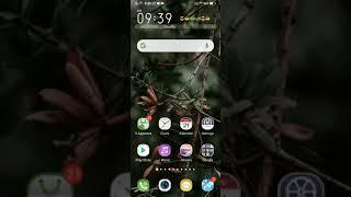 How to set fingerprint and face lock in vivo v15 pro