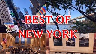 Famous Landmarks in New York City | Before Quarantine Tour of NYC
