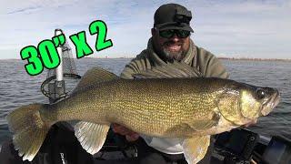 Catching HUGE GOLDEN WALLEYE! | Fall Fishing