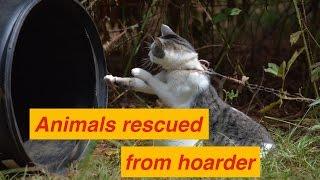 IDA's Hope Animal Sanctuary Rescues Animals from Hoarder in Ethel, Miss.