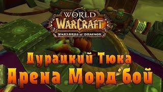 World of Warcraft. Арена Морд'бой.  Дурацкий Тюка.