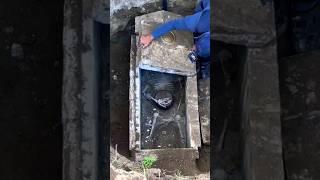 НАШЕЛ ШОКИРУЮЩУЮ ГРОБНИЦУ В ПОЛЕ...#находки #клад #новости #shorts