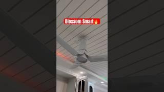 Crompton blossom smart fan #crompton #sailet#trending#fans ##viralvideo #brand #smartfan#r