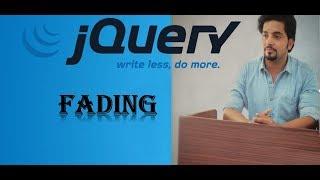 jQuery Tutorial : Fade in, Fade Out and Delay