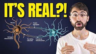 Microscopic Brain Tunnels: A Breakthrough Discovery in Neuroprotection