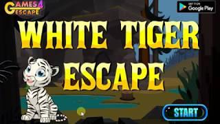 White Tiger Escape Walkthrough [G4E]