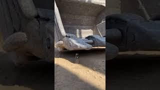 Excavator at working , Dump truck construction , Construction Machines TV