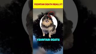 BTS V Dog Yeontan Death #shorts #bts #v #yeontan