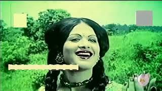 Jol bine mach shikor bine gach, Film Pagla Raja
