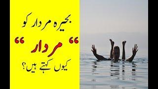 Truly Facts About The DEAD SEA | Hamari Dunya