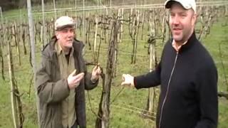 Winemakers Jose and Alejandro like..