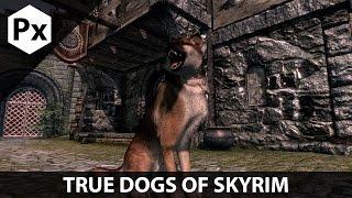 Skyrim Mod Spotlight: True Dogs Of Skyrim