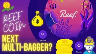 00025 - Viral Watchlist - Reef Coin