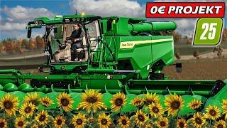 Ernte der SONNEBLUMEN! John Deere S7 endlich im EINSATZ #31 | 0€ Projekt im Farming Simulator 25