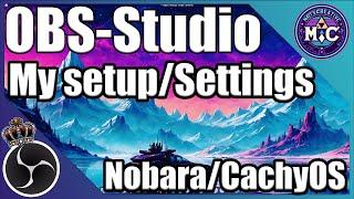 My OBS Settings For Linux Streaming and Recording as Requested