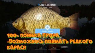 ТРОФЕЙНЫЕ КАРАСИ ЛЕТЯТ КАК ИЗ ПУЛЕМЁТА!! + РЕДКИЙ  #русскаярыбалка4 #карась #ладожскоеозеро