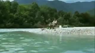 Balik ovi