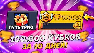 БЕЗУМНЫЙ СПИДРАН - 100 000 КУБКОВ ЗА 10 ДНЕЙ