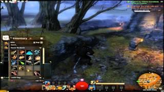 gamerSrbija - Guild Wars 2 Beta - Engineer