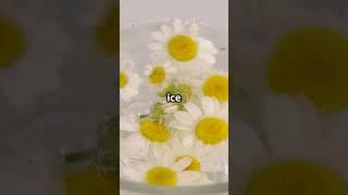Chamomile Ice Cubes for Bright Eyes!