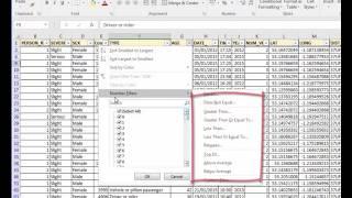 Excel 10 minute Guru- Understand Filtering