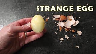 Strange Egg - episode 8: the Frozen Egg