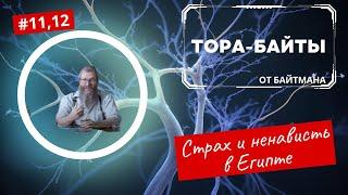 Тора-байты Байтмана | Лекции Байтмана | Иудаизм | Тора | Каббала | Талмуд