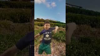 #laalpari #trending #viral #youtubeshorts #shorts #priyansh