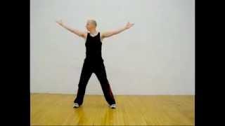 Daoyin Yangsheng Gong - Shuxin Pingxue Gong (Heart Qigong)