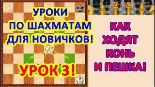 Обучение шахматам начинающих. Урок 3 - Как ходят конь и пешка.