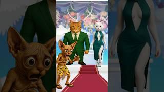Crazy cat  Don't you change my lover !!