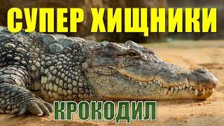 СУПЕР ХИЩНИКИ. КРОКОДИЛ. Документальный фильм Nat Geo Wild