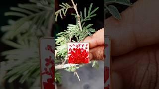 UV Resin Ring Jwellery ️ Resin Jwellery ️ Resin Ring ️ #jwellery #youtubeshorts #ytshorts