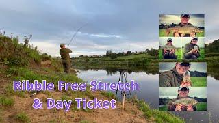 Barbel Fishing River Ribble Free Stretch and Day Ticket