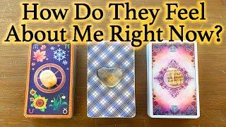 WHAT DOES HE/SHE THINK AND FEEL ABOUT ME RIGHT NOW?| Pick A Card | Love Tarot Reading (Timeless)