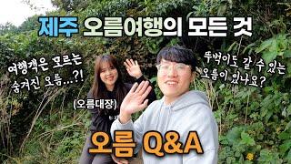 제주여행의 꽃, 오름 여행 준비하는 분들을 위한 오름 Q&A (오름 가기 전 필수 시청!)