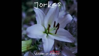 Jorkes - Wisdom Of Whip