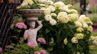 It's funny how something so small in the garden can feel so right