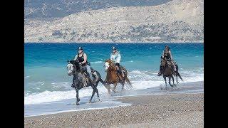 Wanderreiten auf Rhodos