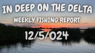 The In Deep On The Delta Weekly Fishing Report For 12/5/2024.